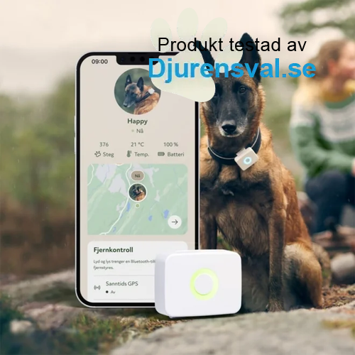 LilDog GPS-Tracker till Hund